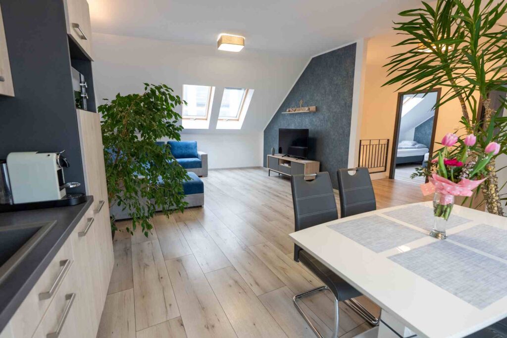 jokai_apartman_viczaiapartman 10