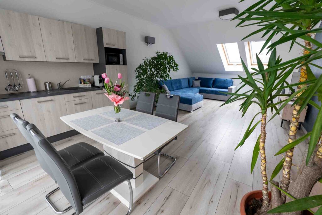 jokai_apartman_viczaiapartman 6